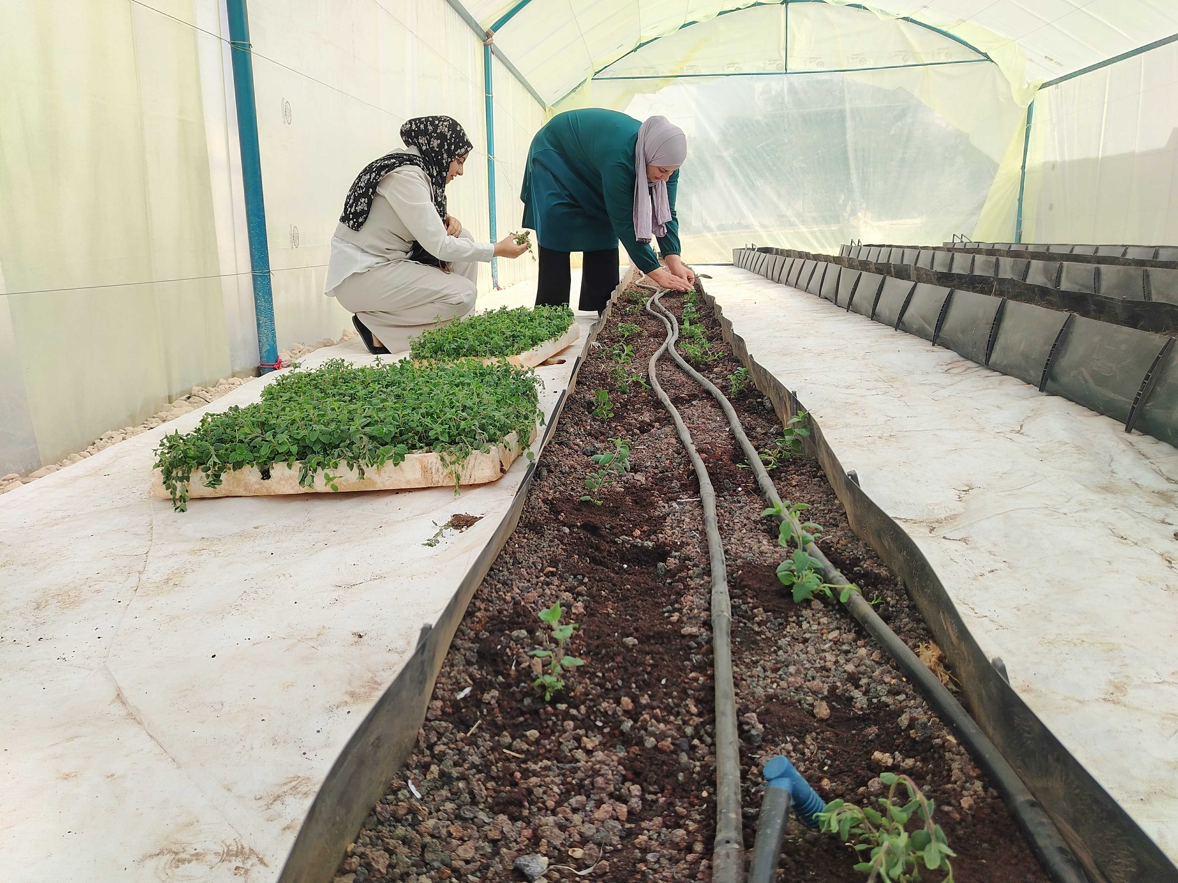 Women in a greenhouse