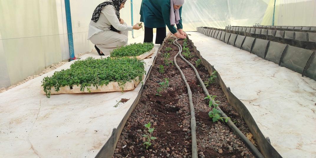 Women in a greenhouse