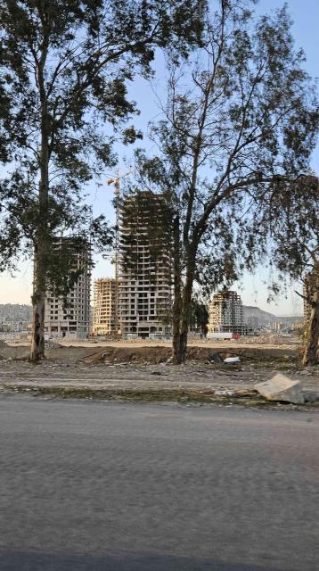 Man on a bicycle on the road in Syria, trees on the background