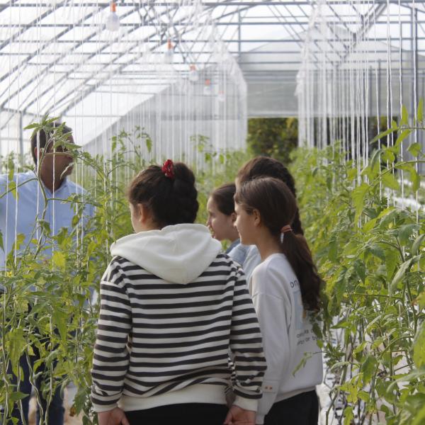 Lapsed kasvuhoones Armeenias